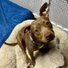 Winnie - 23287 photo 2