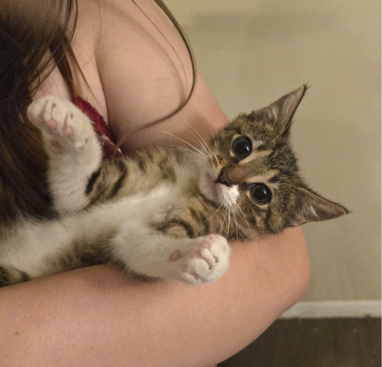 Zuko #puss-n-boots