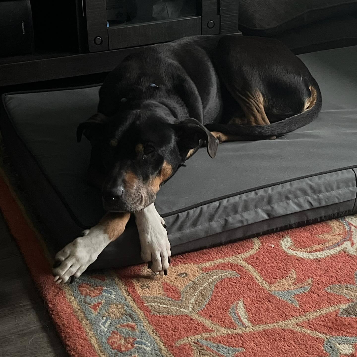 Duke