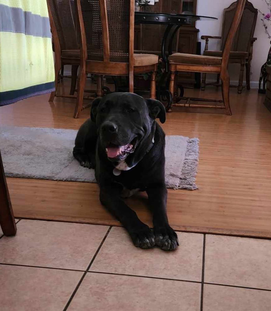 ASTRO