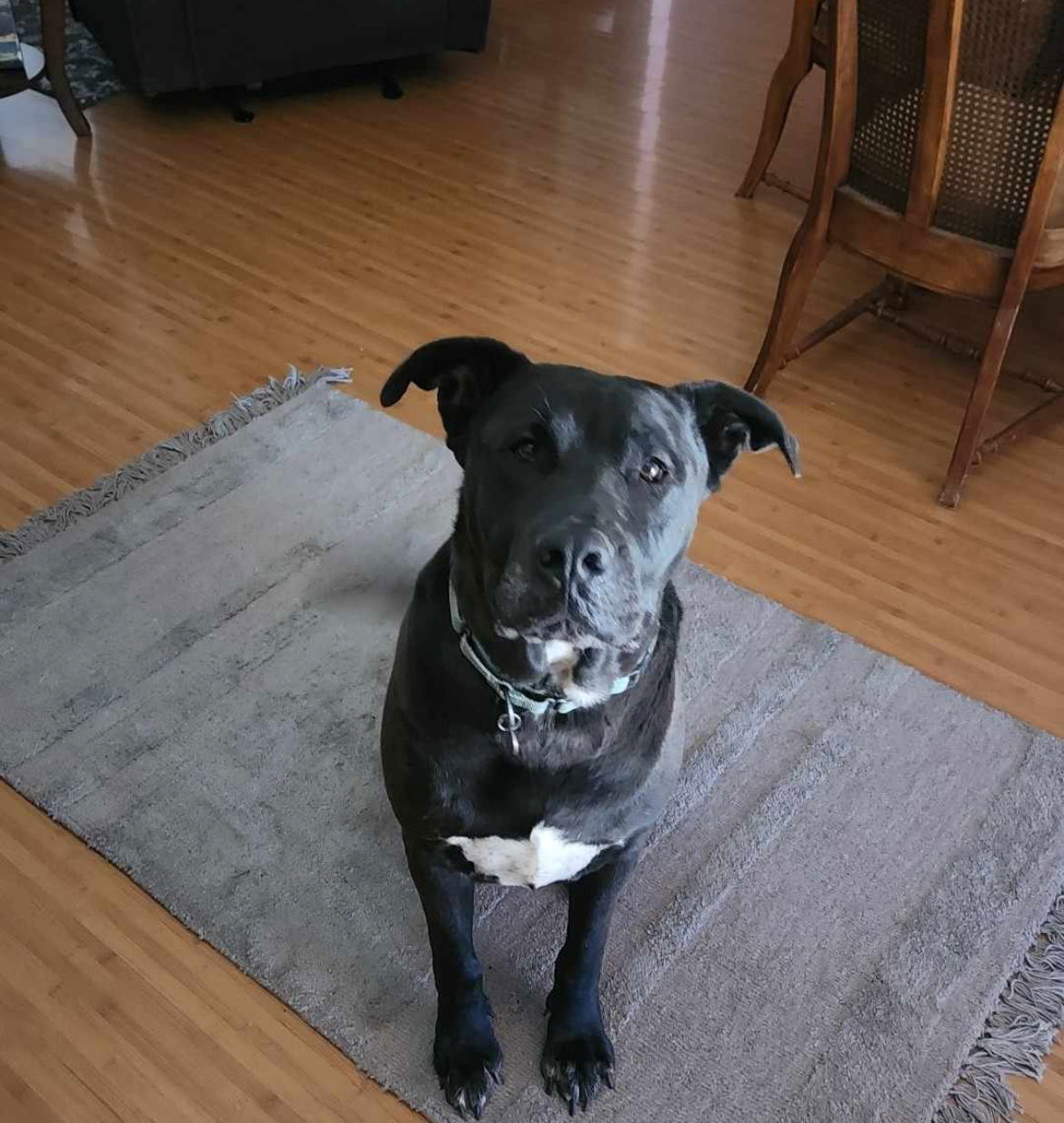ASTRO