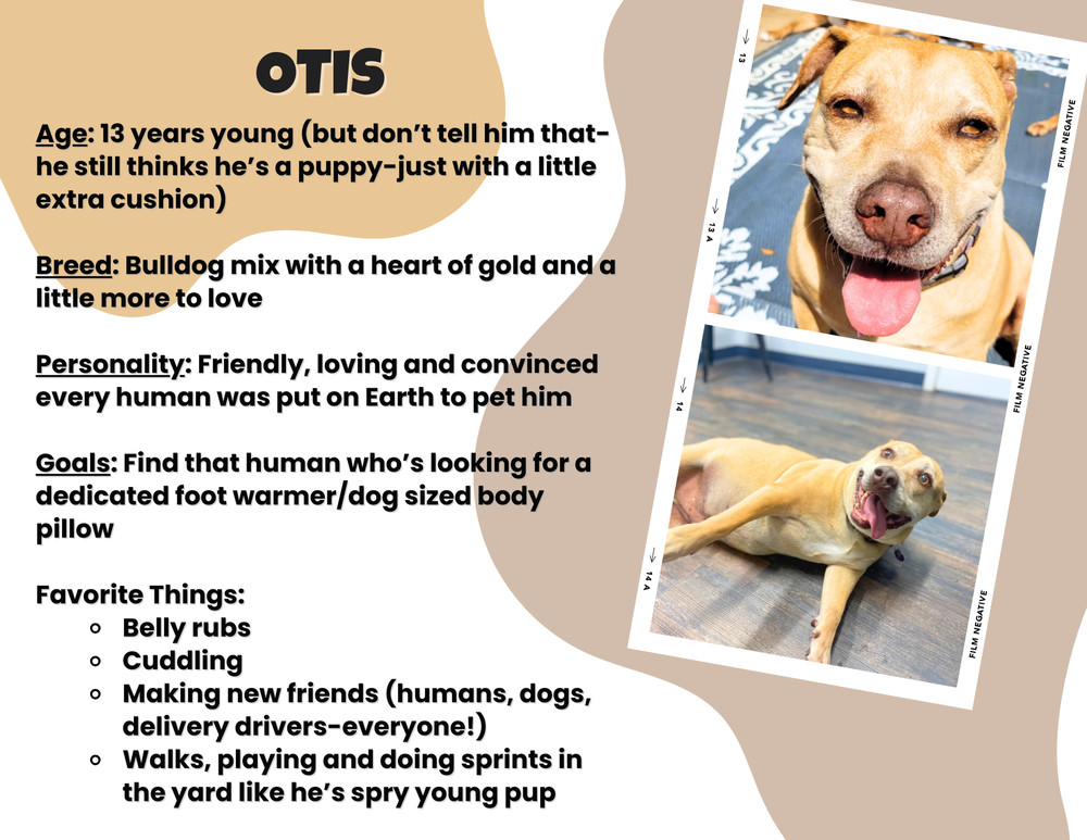 Otis