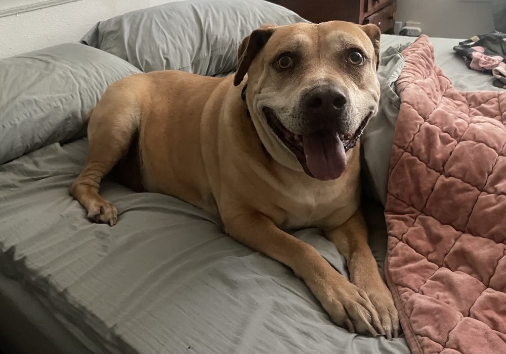 Otis