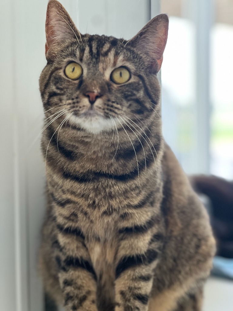 Maggie