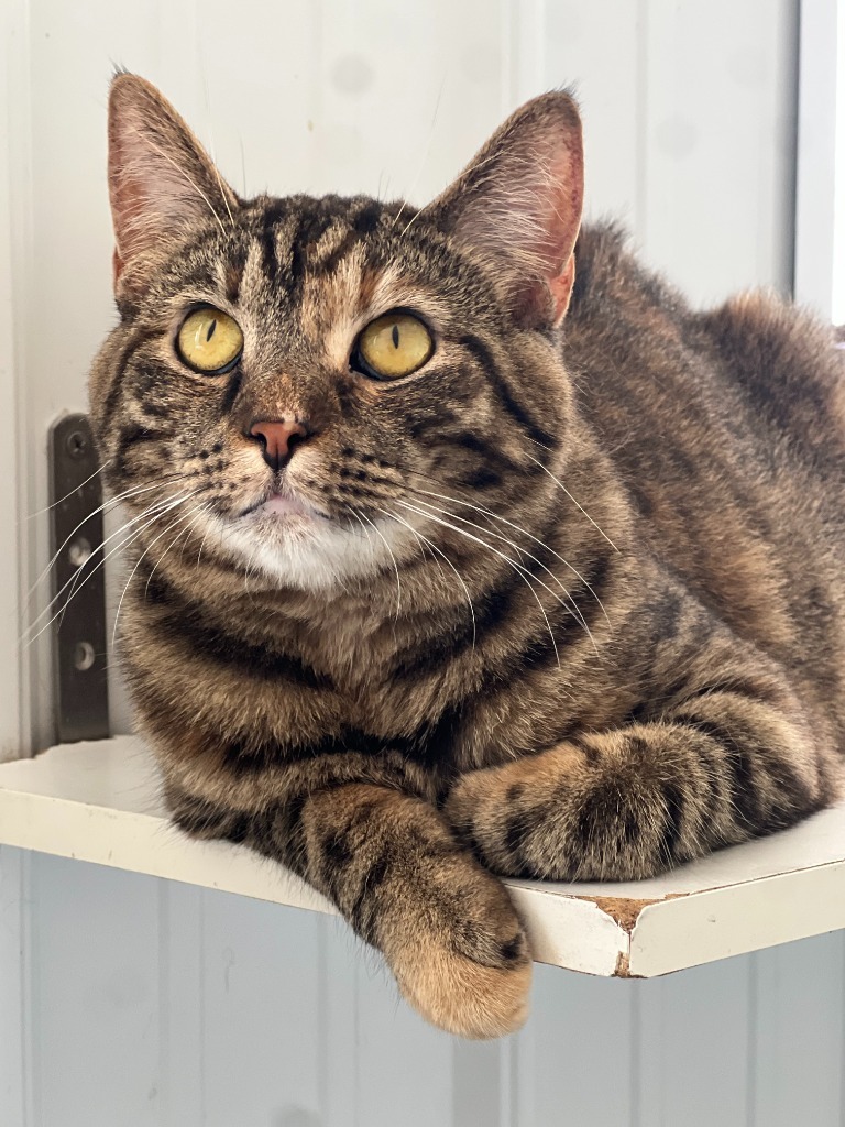 Maggie