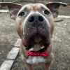 Titus photo 3