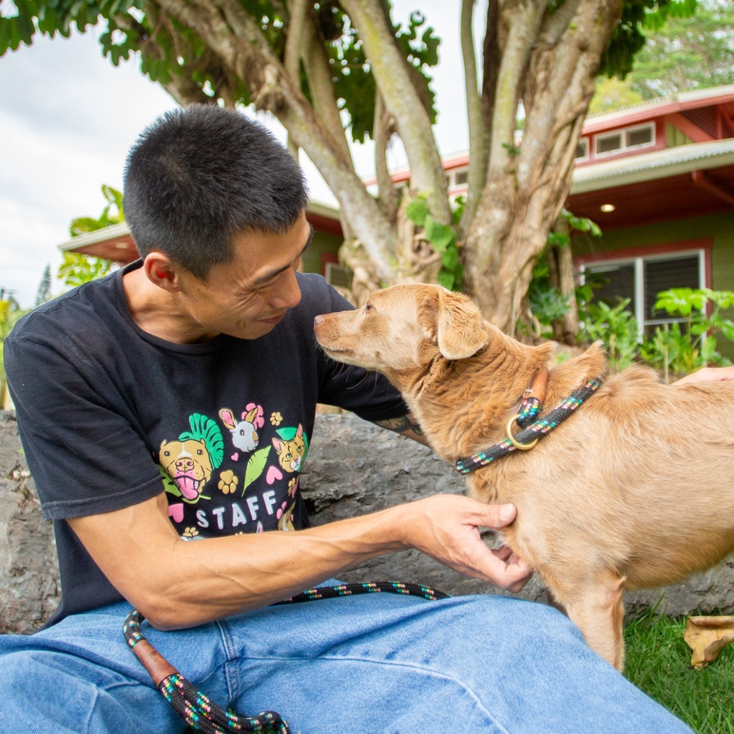Tootsie, an adoptable Mixed Breed in Kailua Kona, HI, 96740 | Photo Image 5
