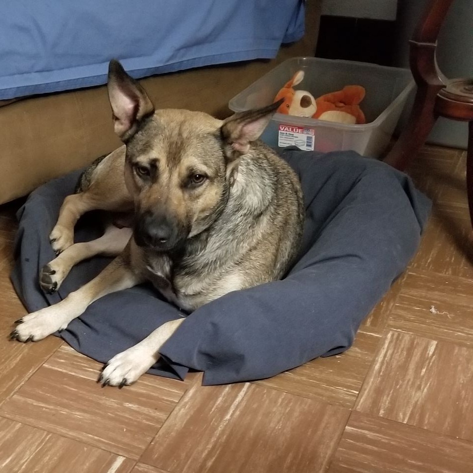 Lux aka Lexie
