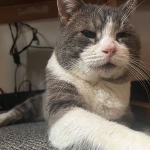 Ezra 2, Senior Male unknown
