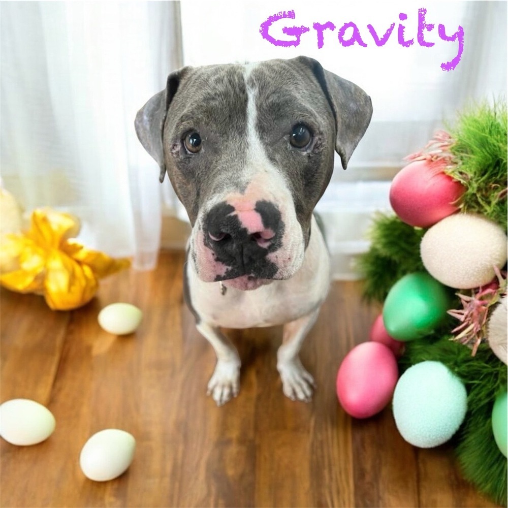 Gravity