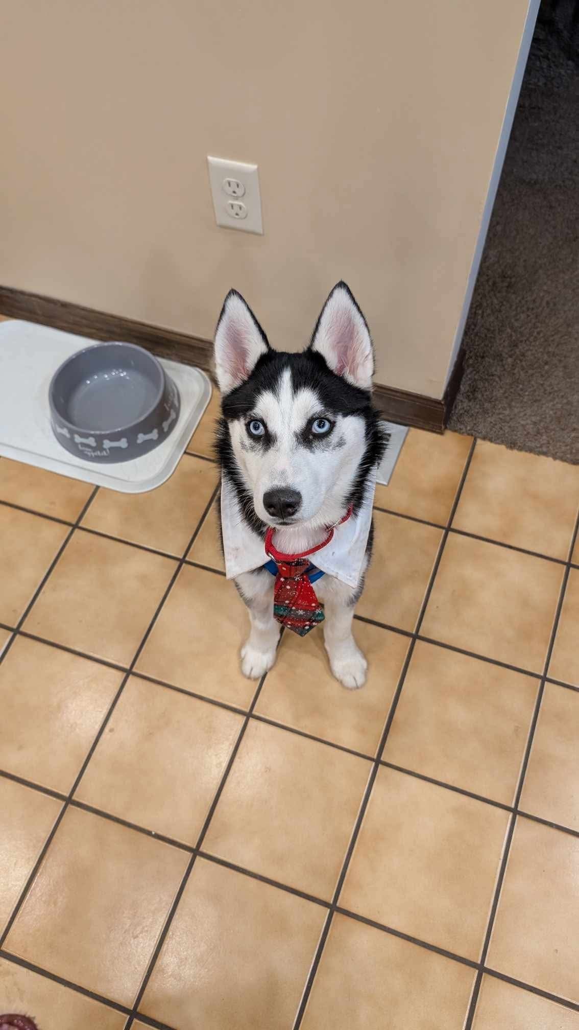 Remi