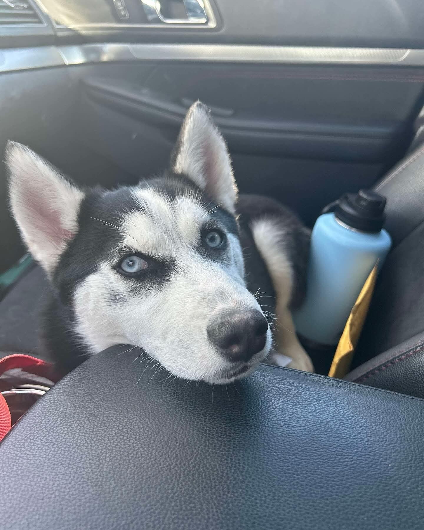 Remi