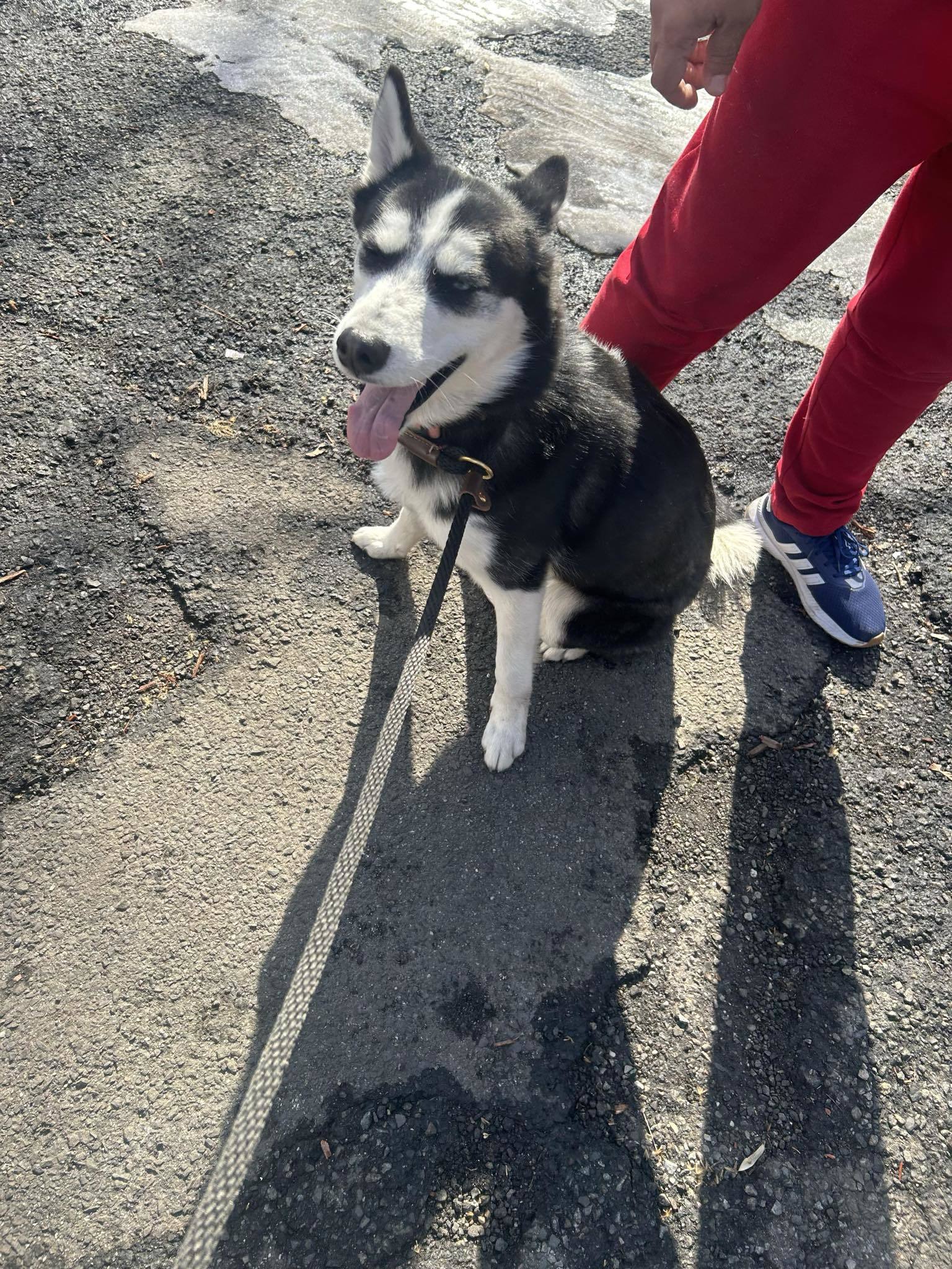 Luna