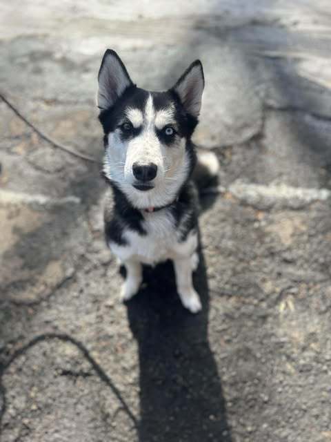 Luna