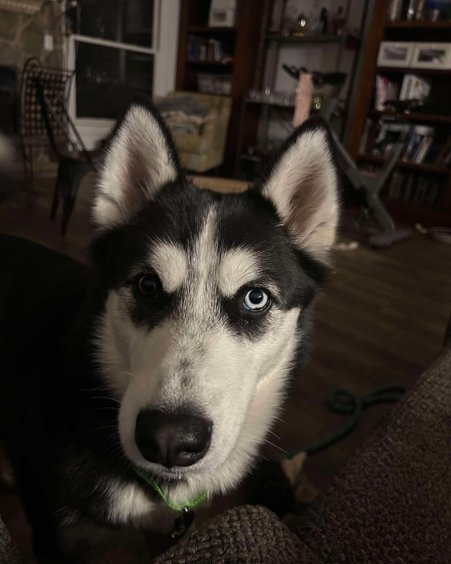 Luna