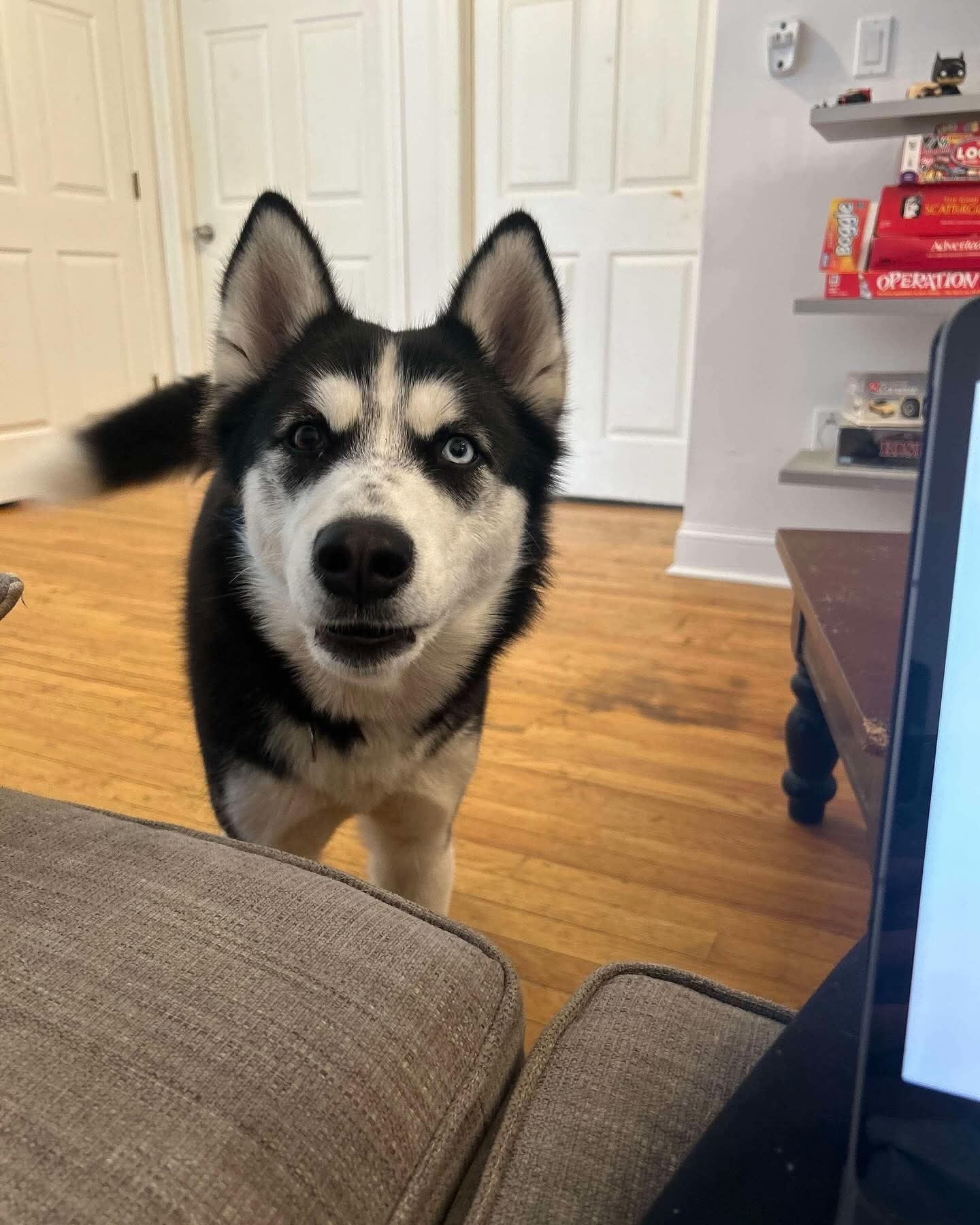 Luna