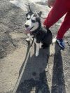 Luna photo 6