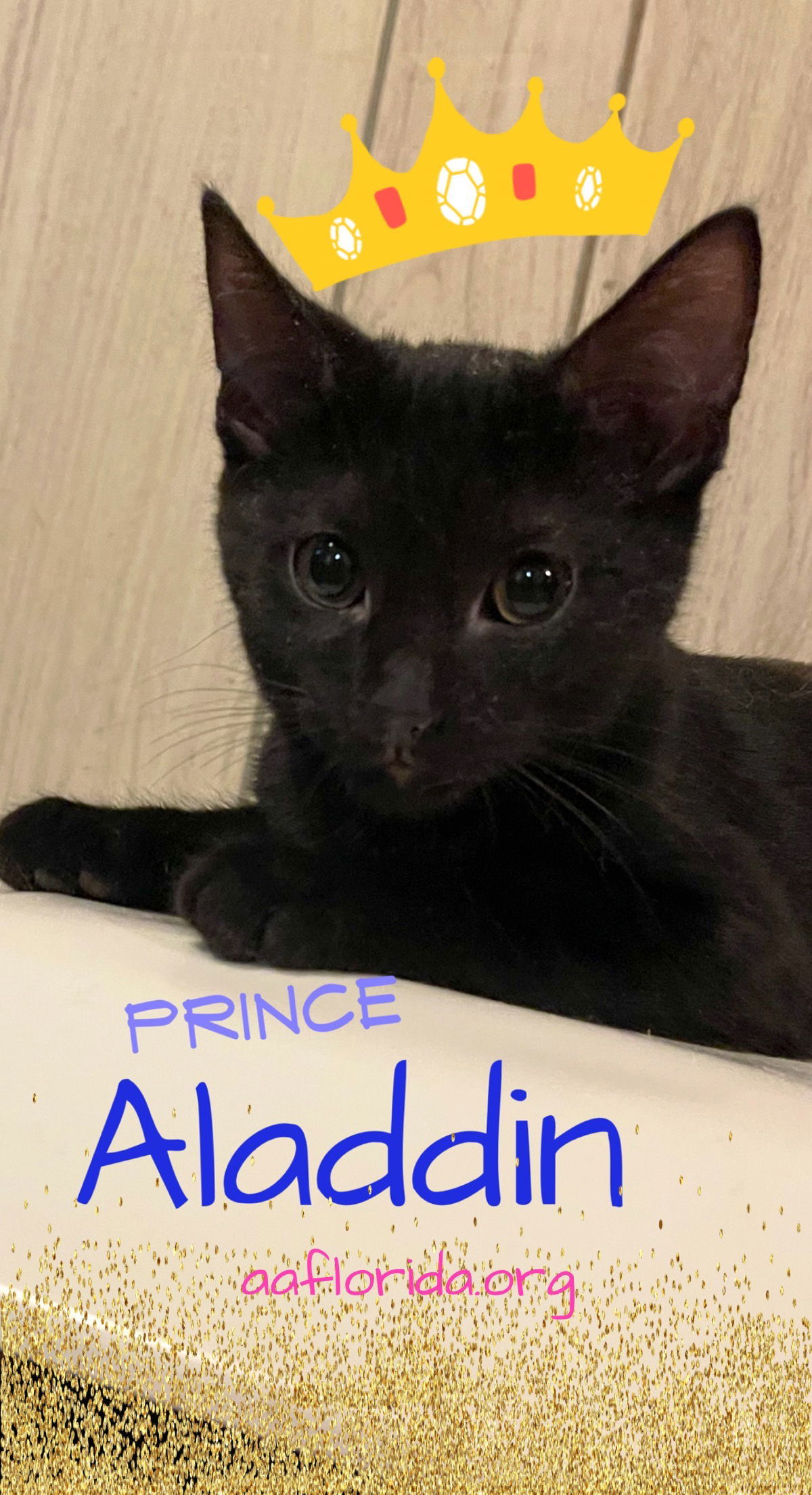 Aladdin