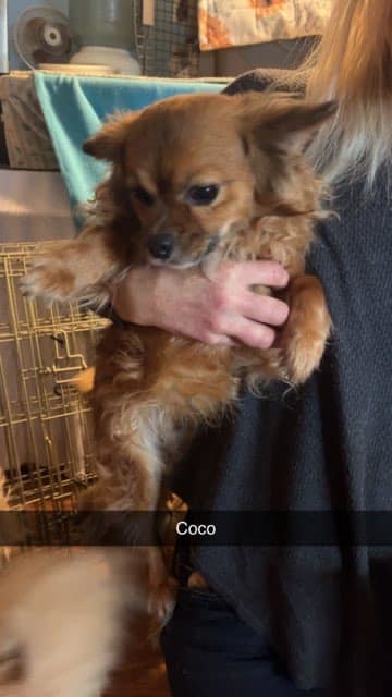 Coco