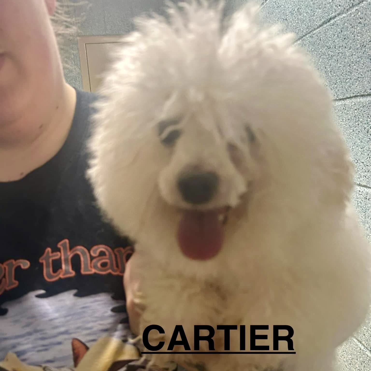 Cartier