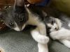 Ava (&amp; Bandit) photo 2