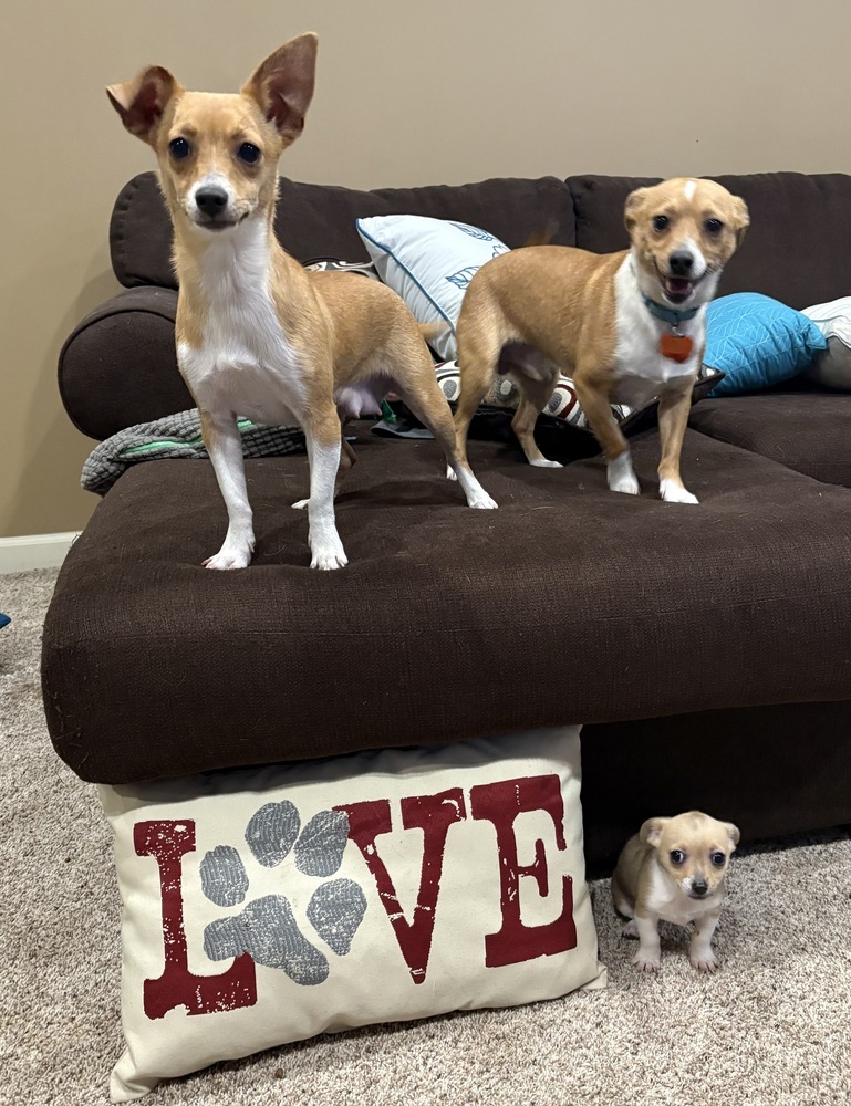 Mama- BONDED WITH PAPA