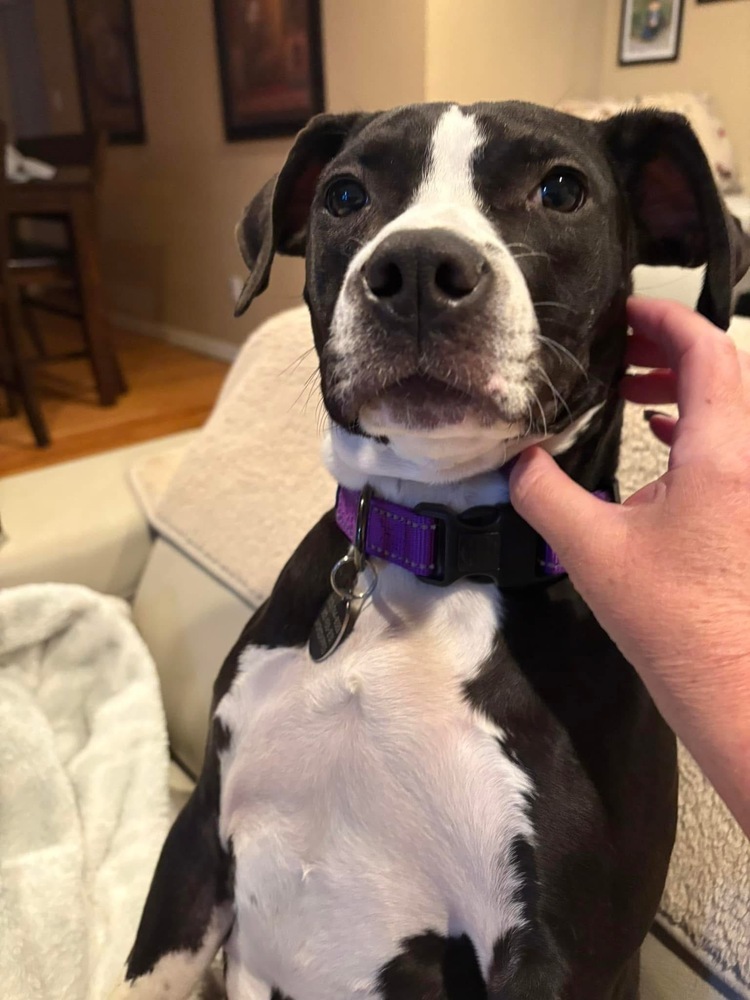 Elphaba