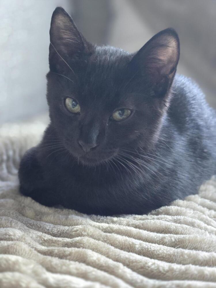 Salem