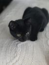 Salem photo 3