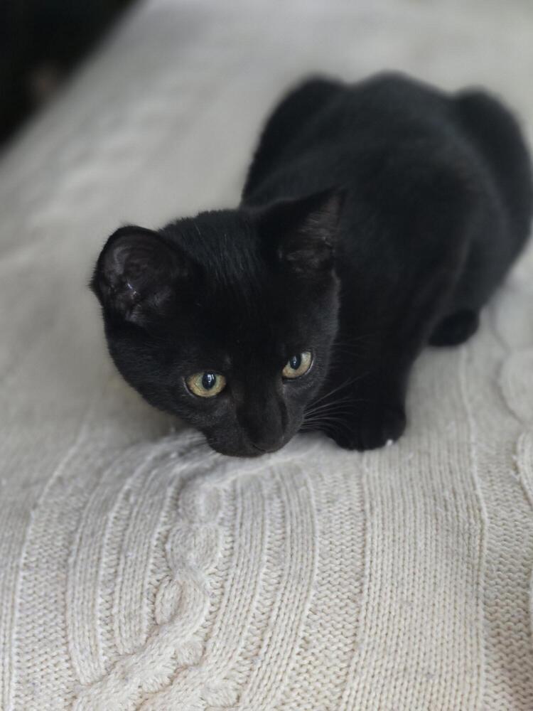 Salem