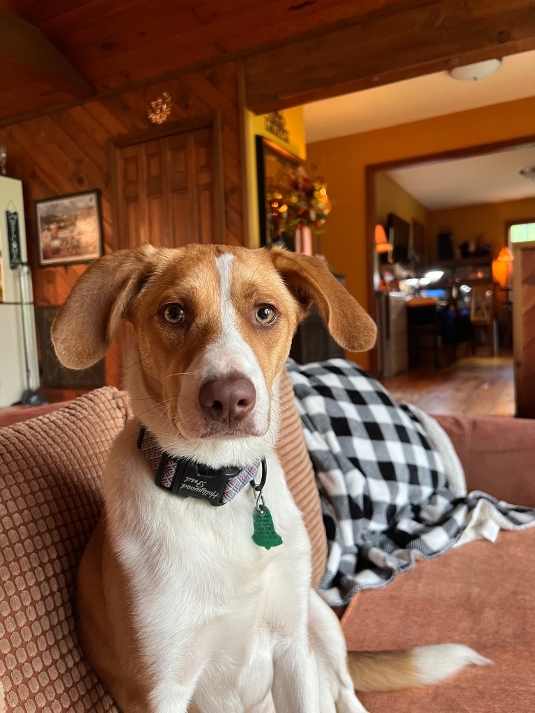 Copper