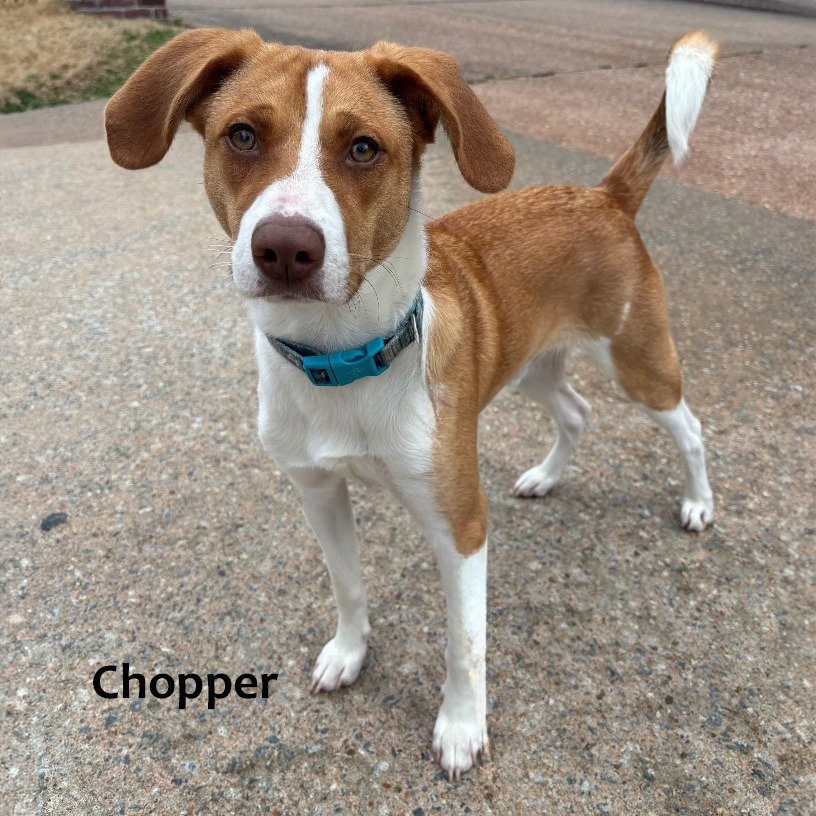 Copper