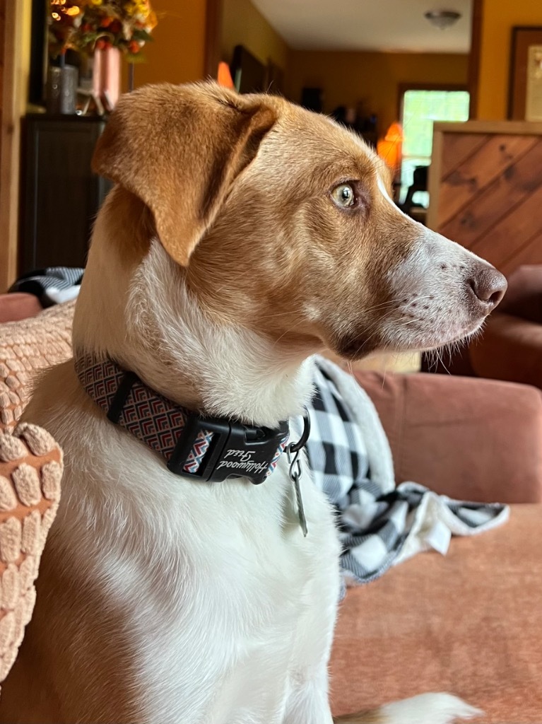 Copper