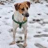 Arlo photo 2