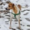 Arlo photo 3