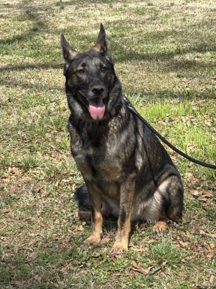 Duke 2 1