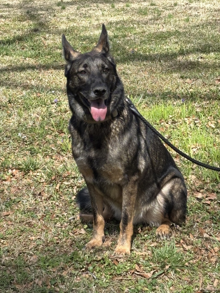 Duke 2