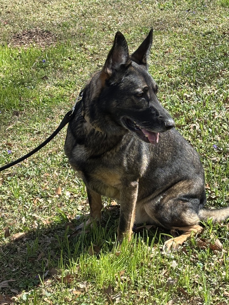 Duke 2