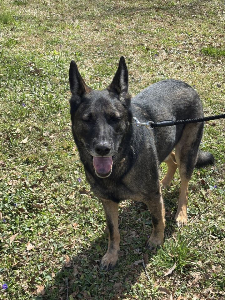 Duke 2 5