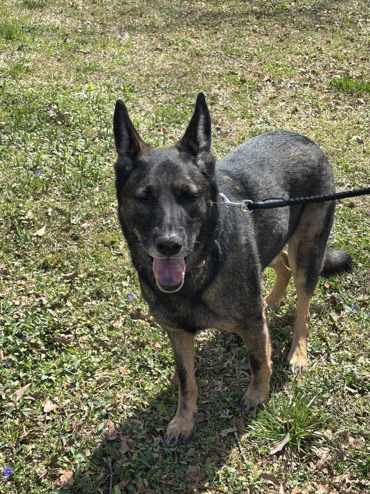 Duke 2