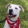 Bruce (In Foster) photo 1