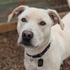 Bruce (In Foster) photo 2