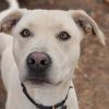 Bruce (In Foster) photo 3