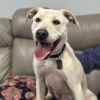 Bruce (In Foster) photo 5