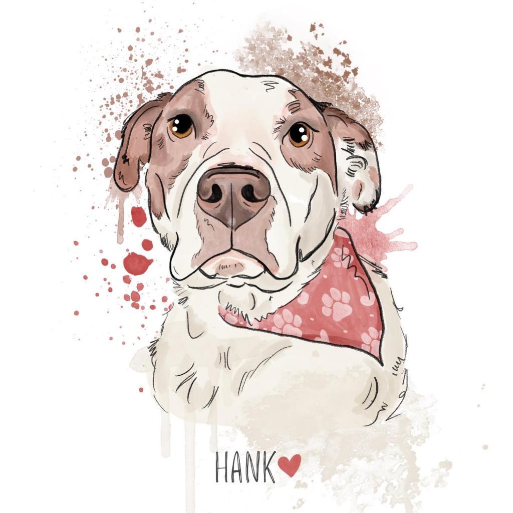 Hank