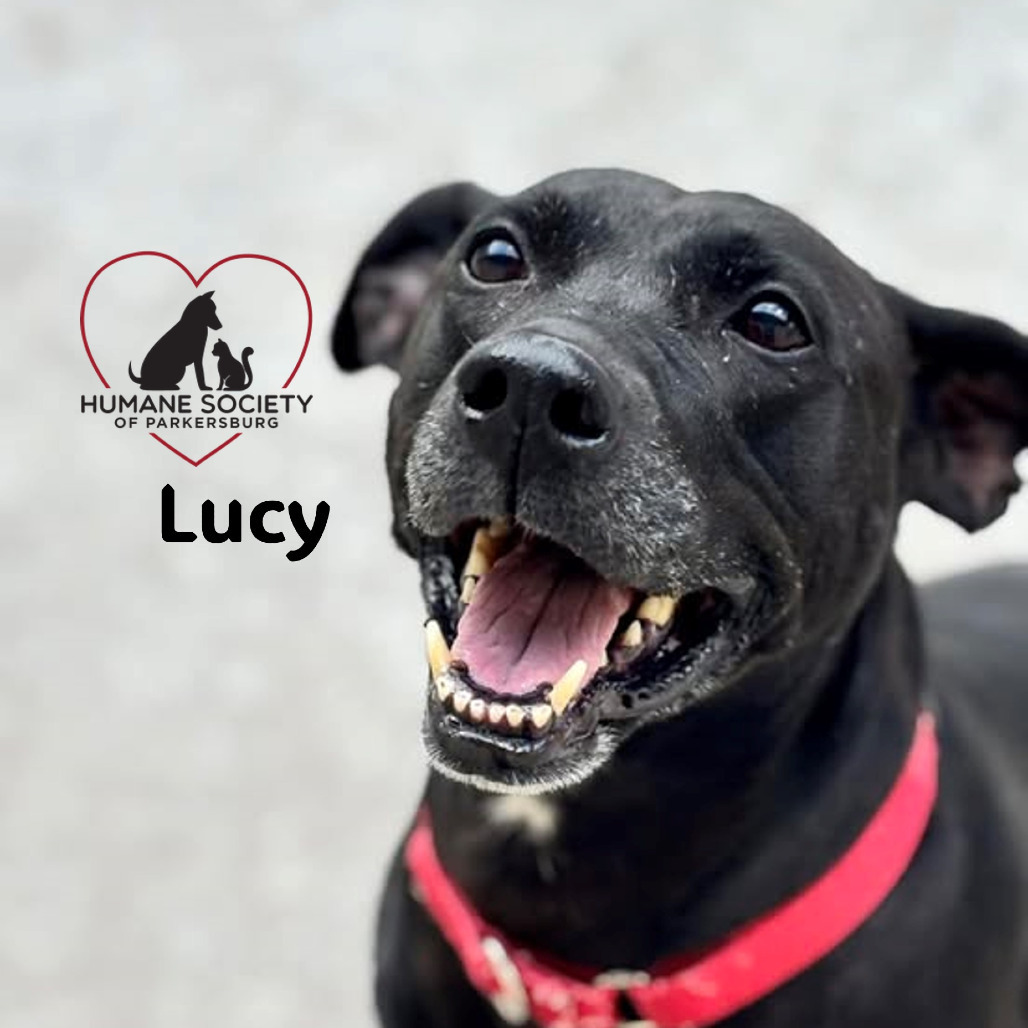 Lucy