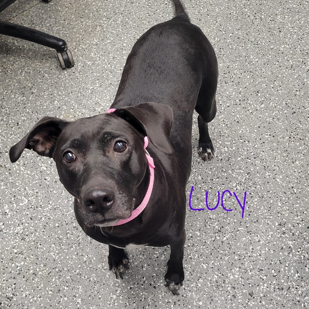 Lucy