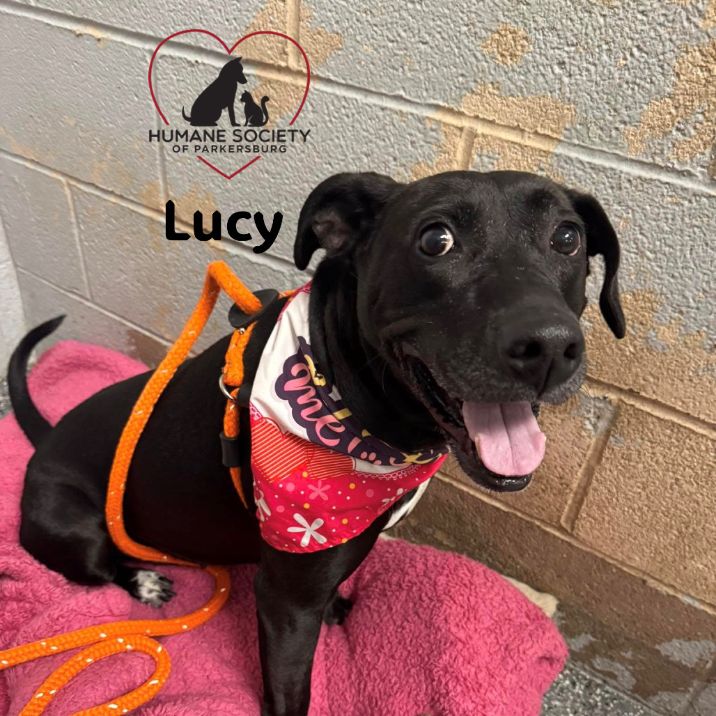 Lucy