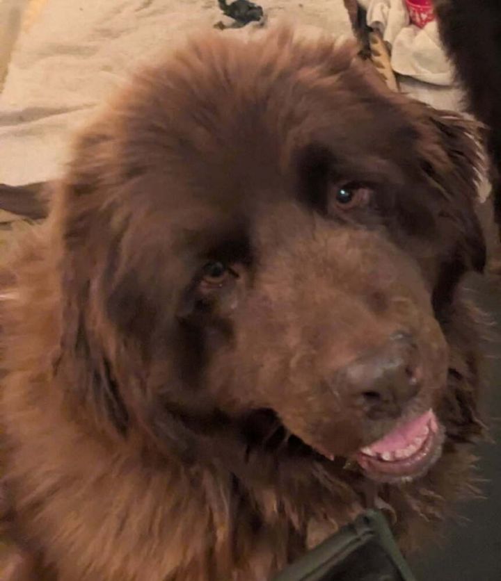 Ellie 4