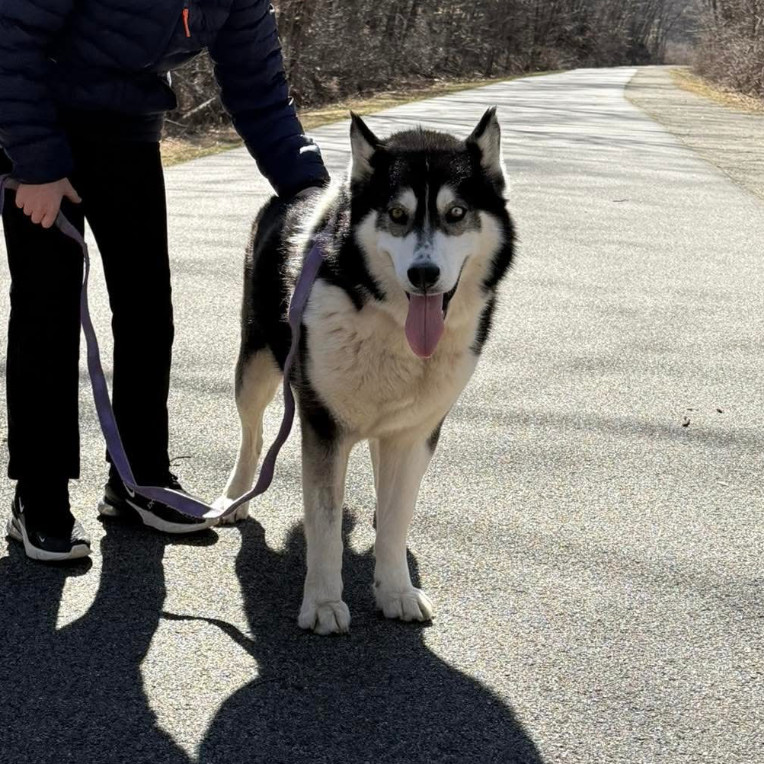 Klaus